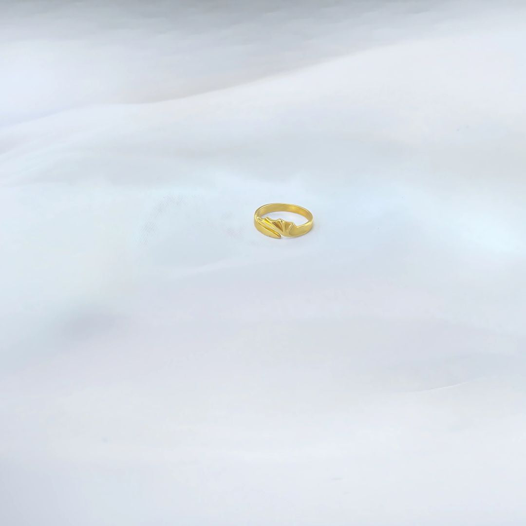 Aliança Dragon (Par) | Alianças de Prata 925 Banhadas à Ouro 18K